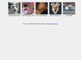 timoka.com