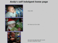 andybrice.com