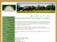 btvfoundation.org