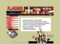 flex-hoses.com