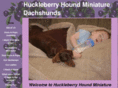 huckleberry-hound-dachshunds.com