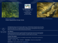 inlandaquaculturegroup.com