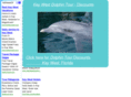 keywestdolphintour.com