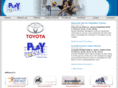 playvolleyschool.com