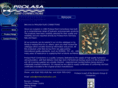 prolasa-hydraulics.com