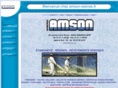 amson-resines.com