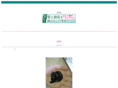 enjoy-cm.com