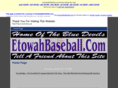 etowahbaseball.com