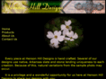 hensonhilldesigns.com