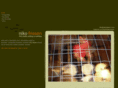 nikofriesen.com