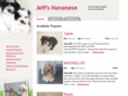 nychavanesebreeder.com
