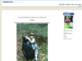 webmavennj.com
