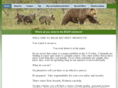 bearsecurityproducts.com