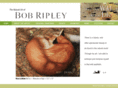 bobripley.com