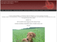 ilonavizslas.com