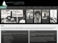 levinsonlawoffice.com