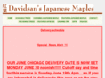 myjapanesemaple.com