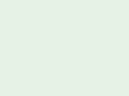 tillymint.com