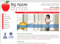 bigapplewindowcleaning.com