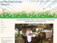 cflcarriageco.com