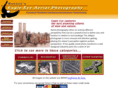 eagleeyeairphoto.com