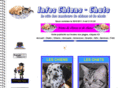 infos-chiens-chats.com