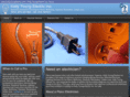kellyyoungelectric.com