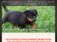 schoenfeldenrottweilers.com