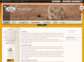 afootours.com
