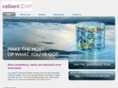 cellientsystem.com