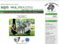 irish-wolfhounds-mainz.com