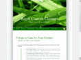 regalcustomcleaners.com