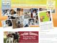 aspengrovevet.com
