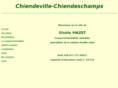 chiendeville-chiendeschamps.com