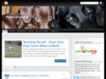 pawsitivek9.net