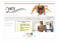 iyes-webs.com