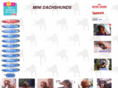 minidatsun.com