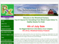 1800chiropractor.net