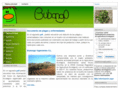 bubango.com
