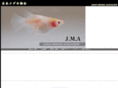 jma-medaka.org