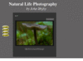 naturallifephotography.com