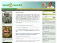 transformerlife.com