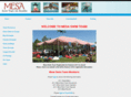 mesaswimteam.com