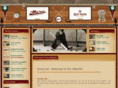 minsotaathletic.com