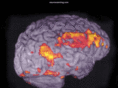 neuroscanning.com