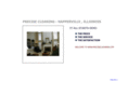 precisecleaning.com
