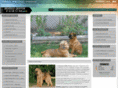 thebrusselsgriffonforum.org