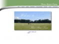 threebearsfarm.com