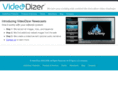 videodizer.com