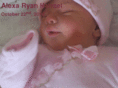 alexahansel.com